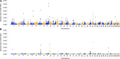 Biologically Enhanced Genome-Wide Association Study Provides Further Evidence for Candidate Loci and Discovers Novel Loci That Influence Risk of Anterior Cruciate Ligament Rupture in a Dog Model